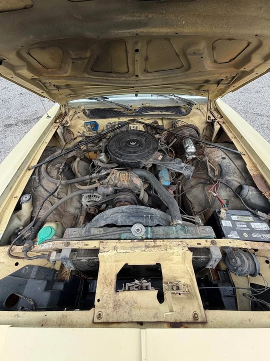 1977 Dodge Charger 4th Gen - Image 4 of 10