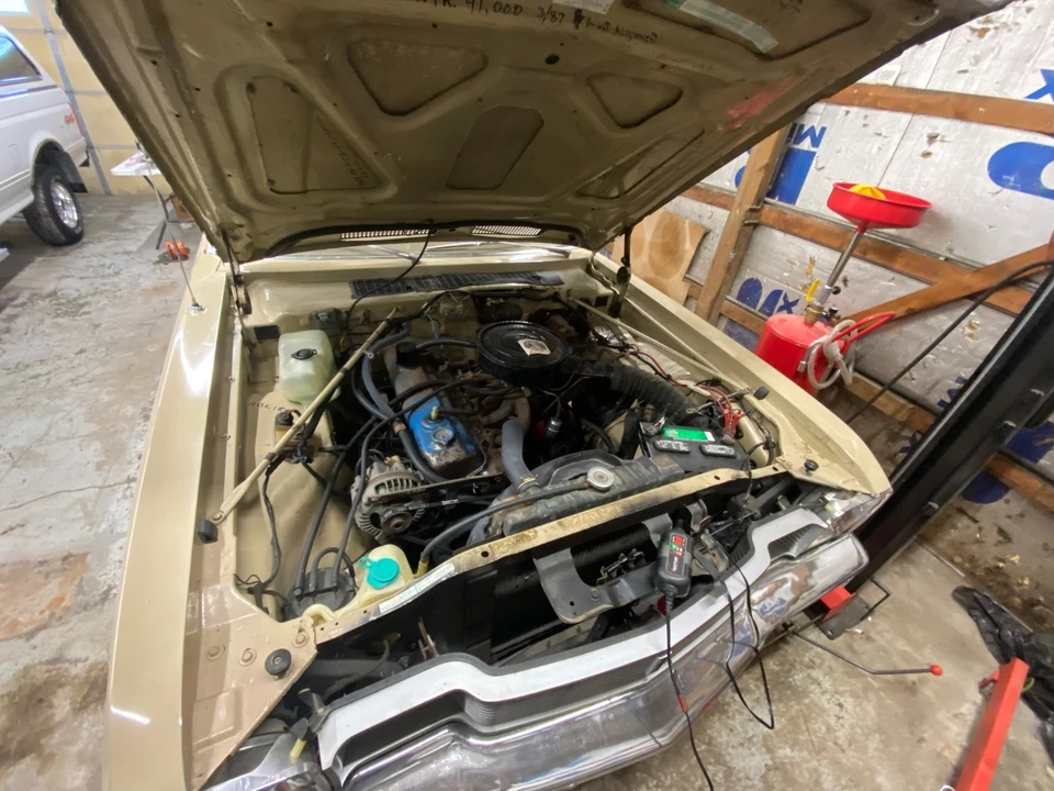 1977 Dodge Diplomat - Image 3 of 20