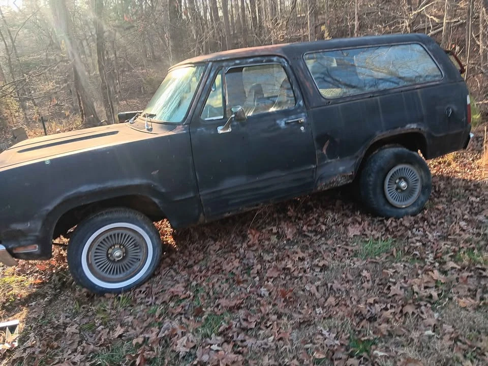 1977 Dodge Ramcharger - Image 2 of 13