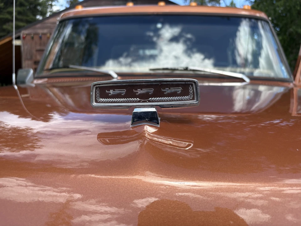 1977 Ford F-Series 6th Gen - Image 25 of 31
