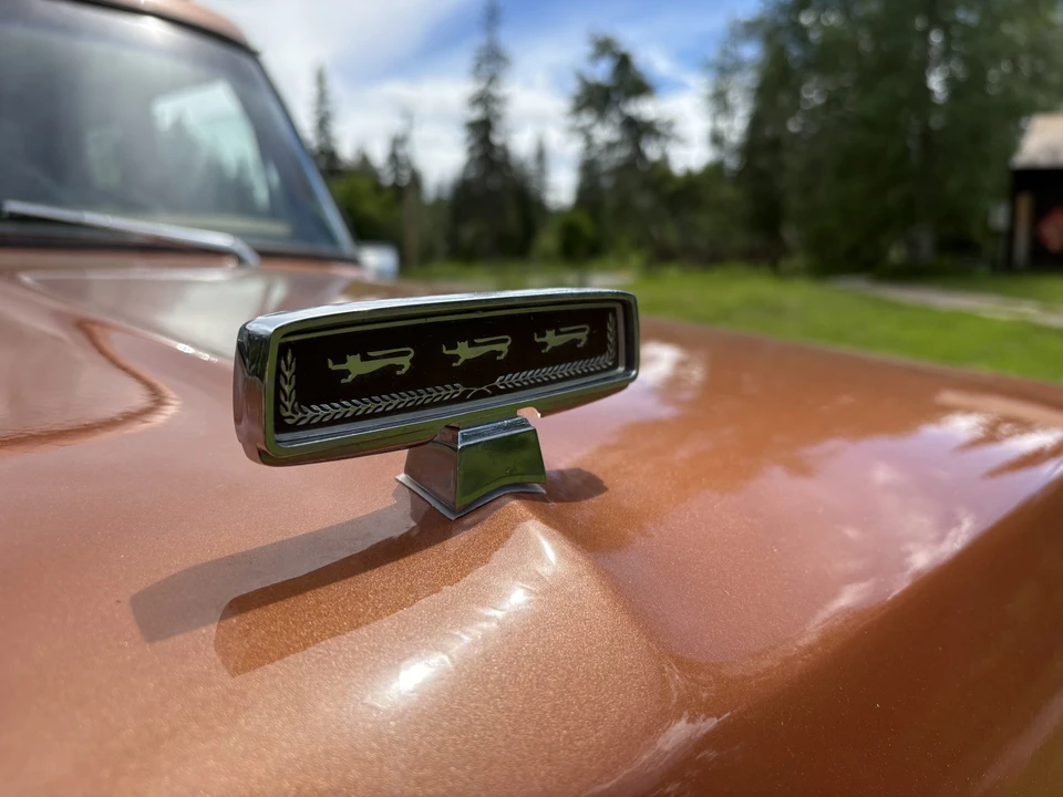 1977 Ford F-Series 6th Gen - Image 26 of 31