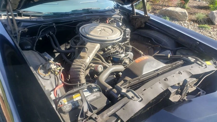 1977 Ford LTD - Image 14 of 15