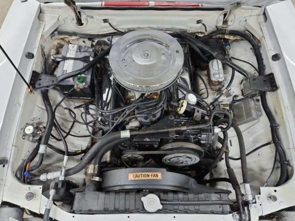 1977 Ford Mustang 2nd Gen - Image 19 of 21