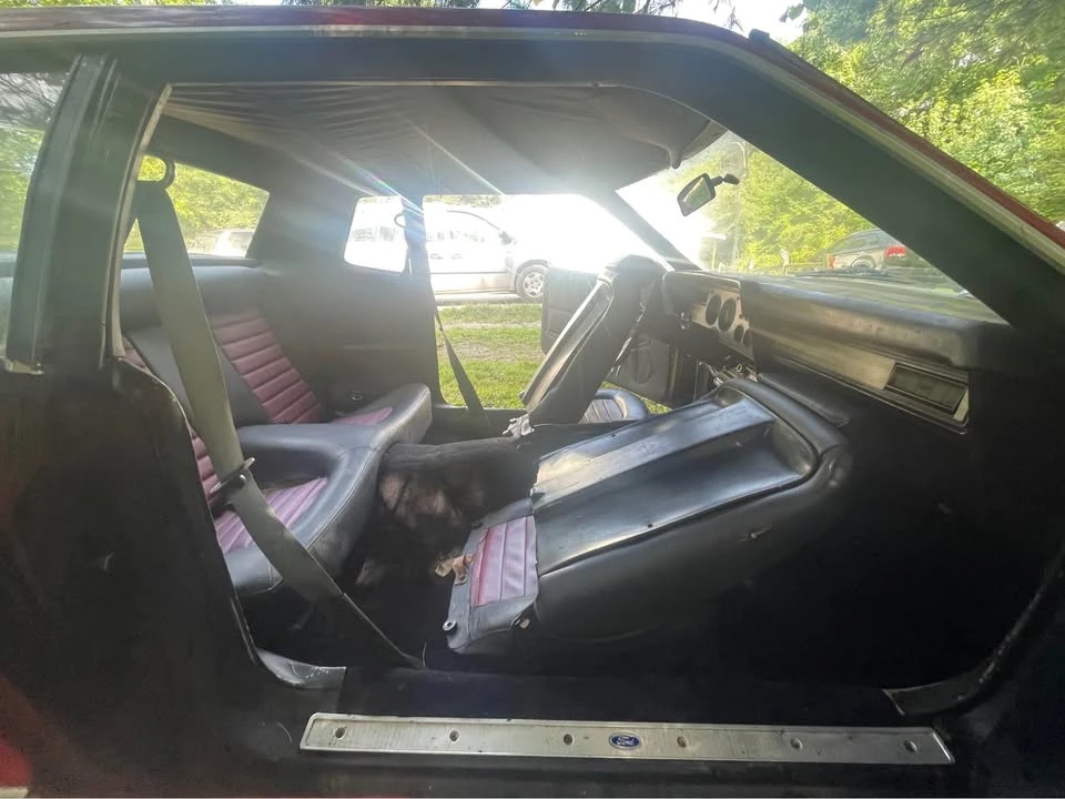 1977 Ford Mustang 2nd Gen - Image 8 of 18