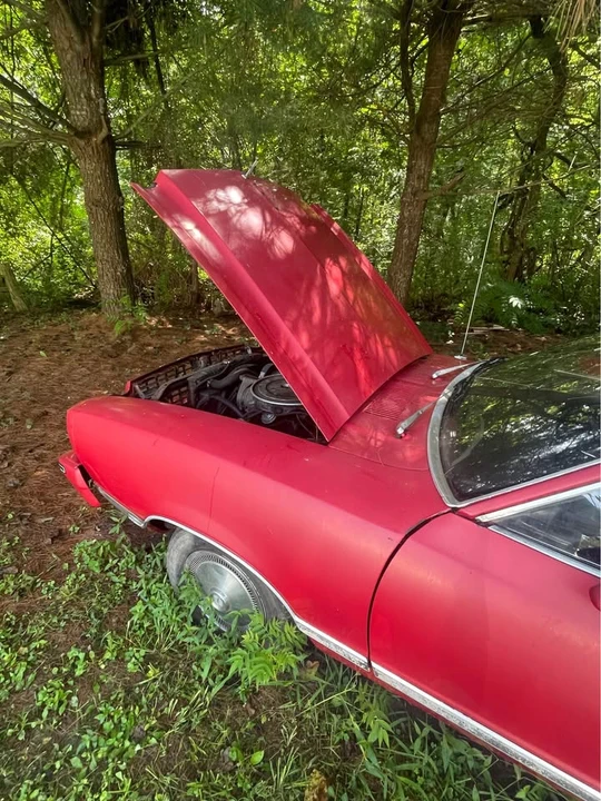 1977 Ford Mustang 2nd Gen - Image 13 of 18