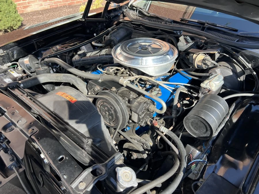 1977 Ford Ranchero 5th-7th Gen - Image 7 of 9