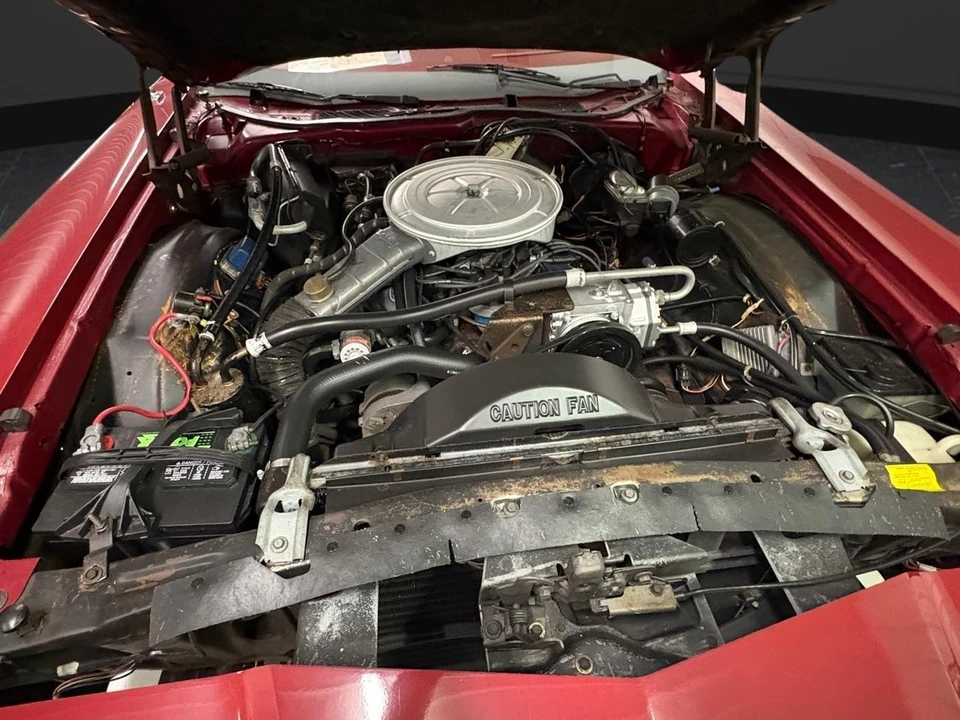 1977 Ford Thunderbird 7th Gen - Image 31 of 31