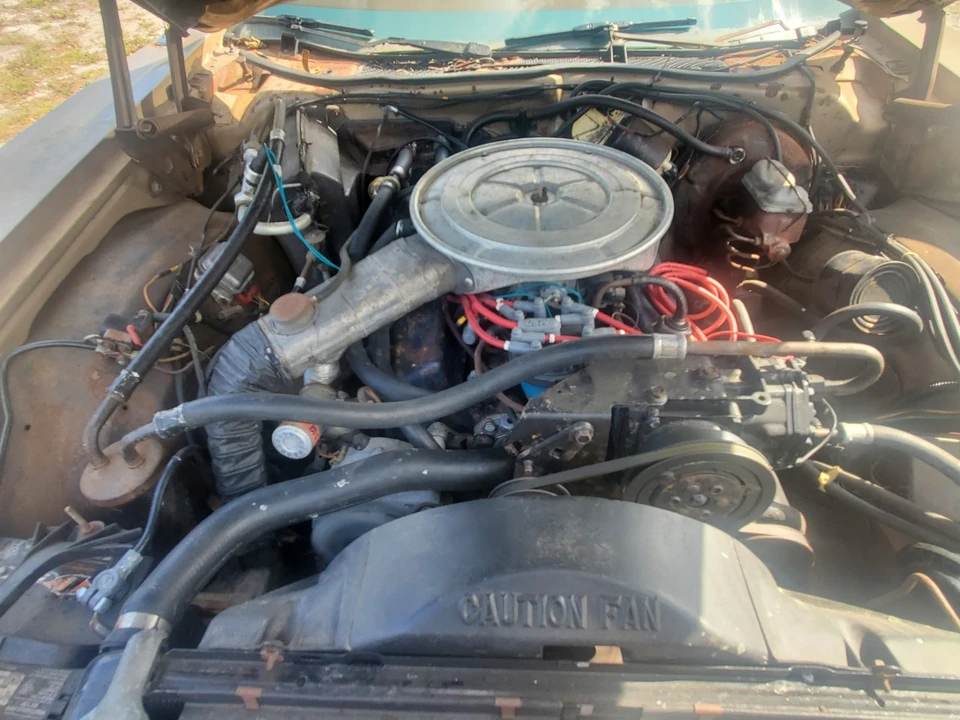 1977 Ford Thunderbird 6th Gen - Image 12 of 13