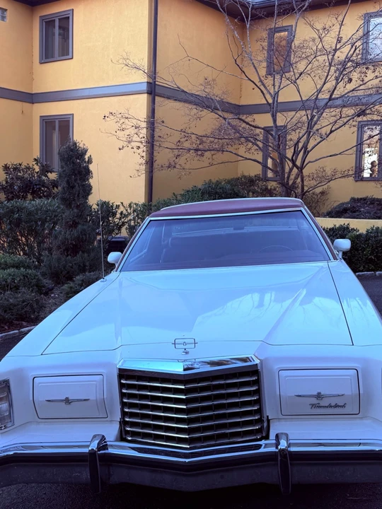 1977 Ford Thunderbird 7th Gen - Image 15 of 21