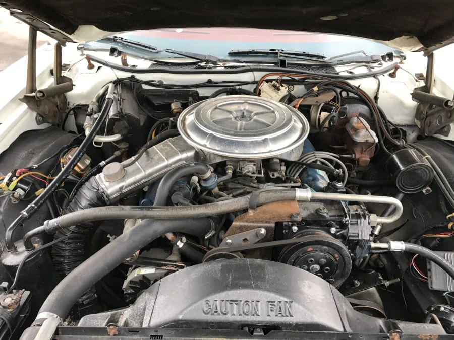 1977 Ford Thunderbird 7th Gen - Image 4 of 6