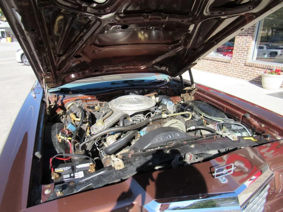 1977 Ford Thunderbird 7th Gen - Image 16 of 18