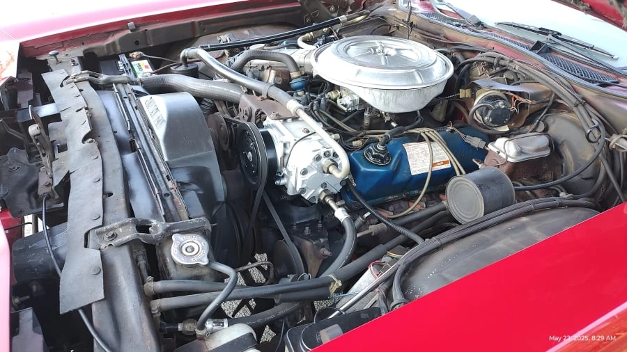 1977 Ford Thunderbird 7th Gen - Image 18 of 19