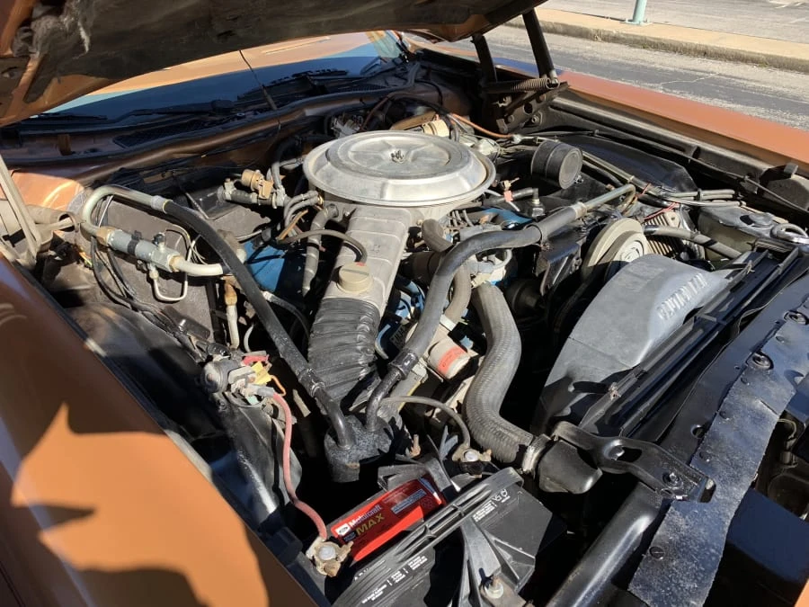 1977 Ford Thunderbird 7th Gen - Image 6 of 7