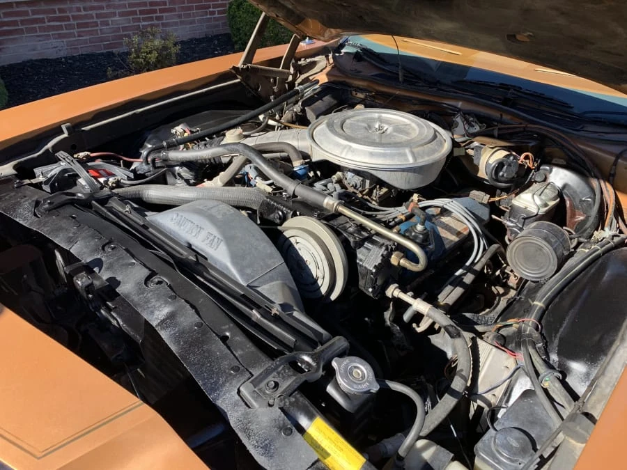 1977 Ford Thunderbird 7th Gen - Image 7 of 7