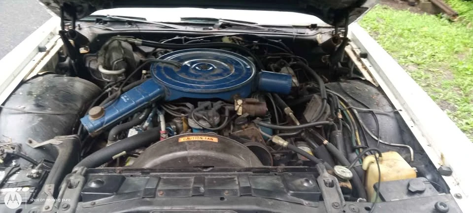 1977 Ford LTD - Image 6 of 14