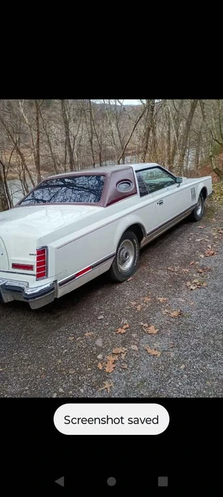 1977 Ford LTD - Image 2 of 14