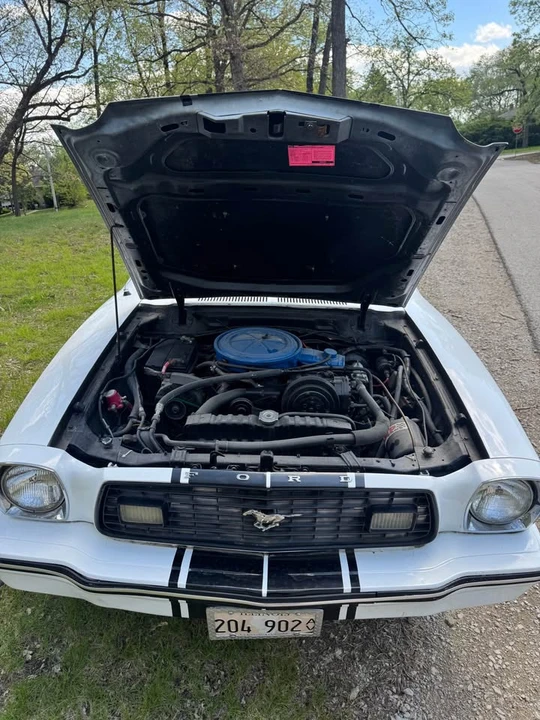 1977 Ford Mustang 2nd Gen - Image 6 of 7