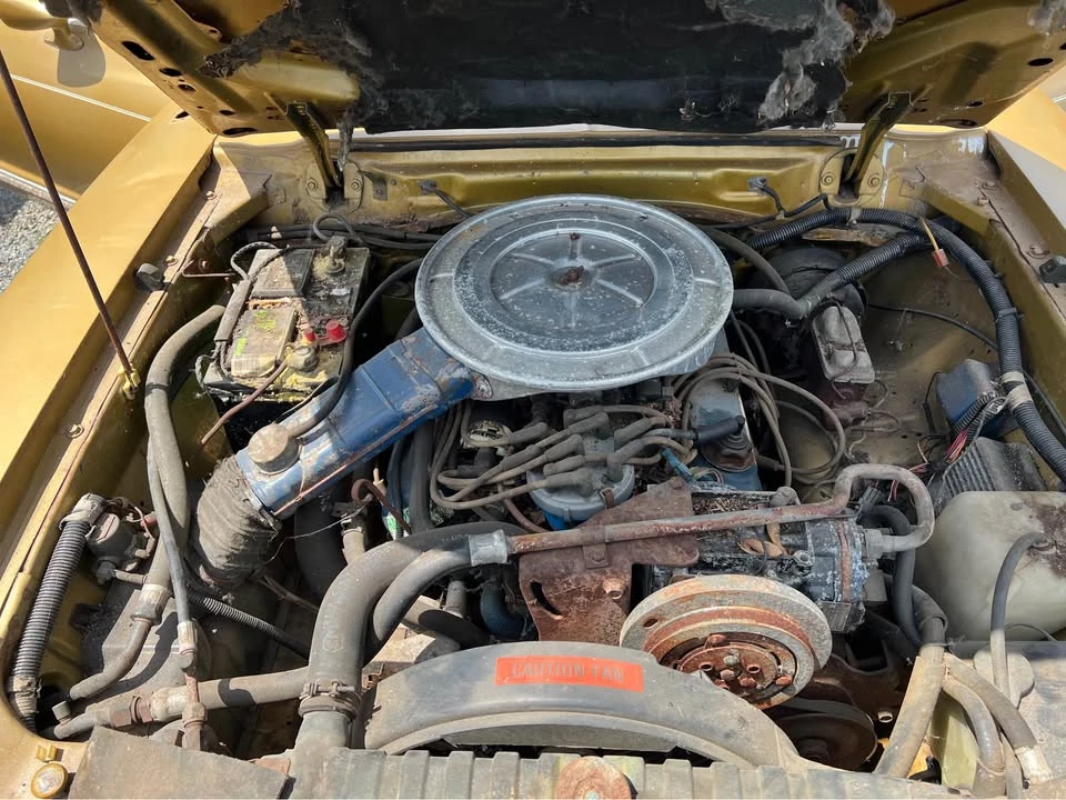 1977 Ford Mustang 2nd Gen - Image 3 of 19