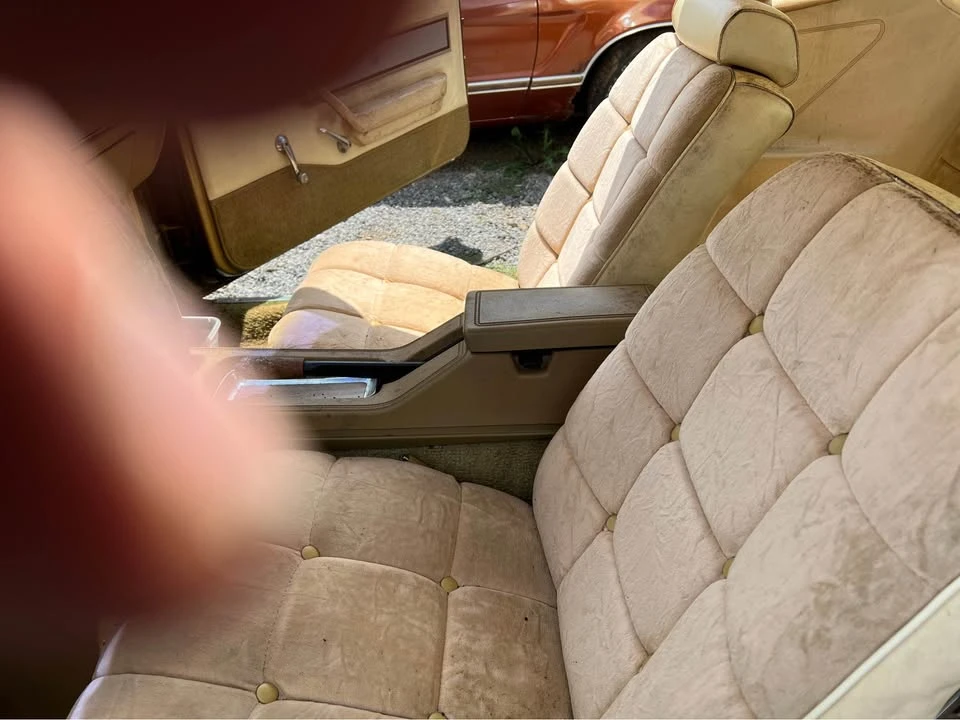 1977 Ford Mustang 2nd Gen - Image 6 of 19