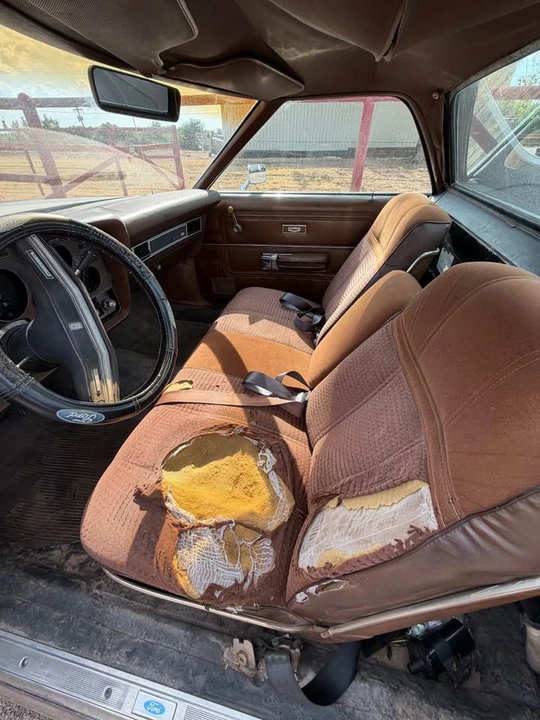 1977 Ford Ranchero 5th-7th Gen - Image 19 of 19