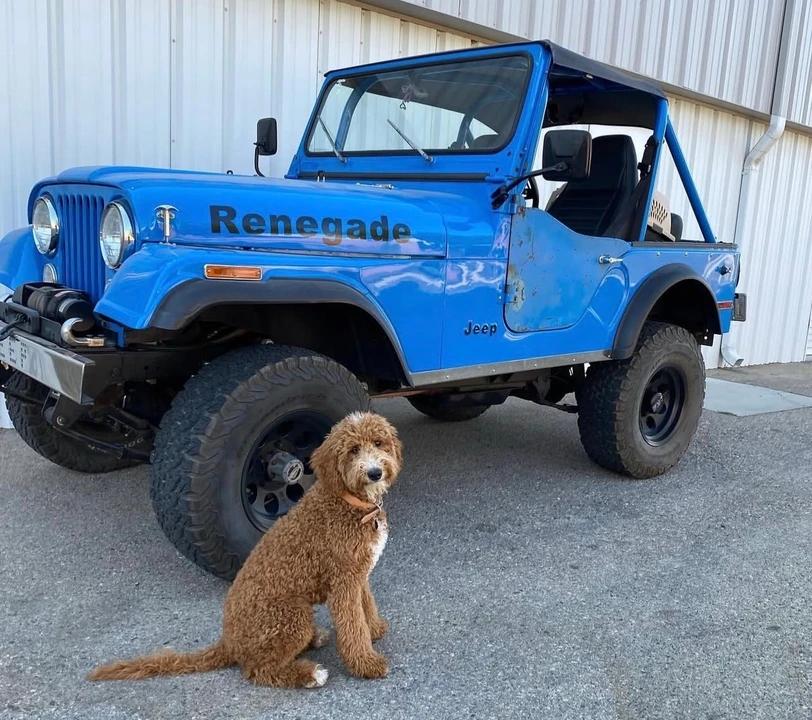 1977 Jeep CJ5 - Image 15 of 31