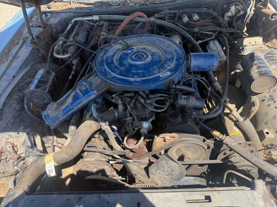 1977 Lincoln Continental 5th Gen - Image 5 of 8
