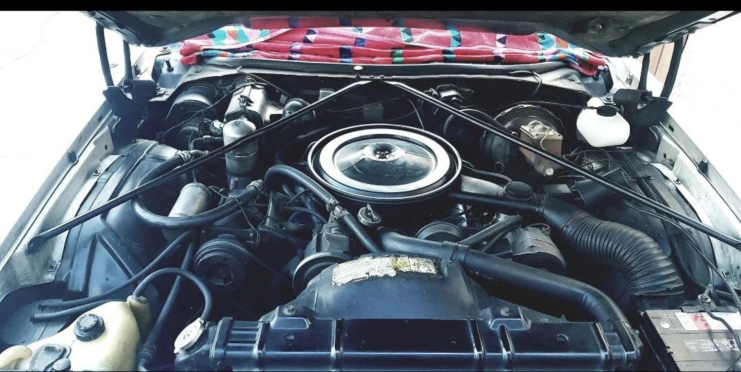 1977 Oldsmobile Cutlass 4th Gen - Image 5 of 8