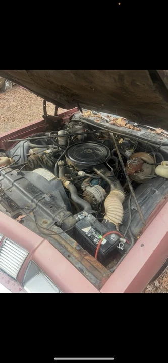 1977 Oldsmobile 442 3rd Gen - Image 9 of 10