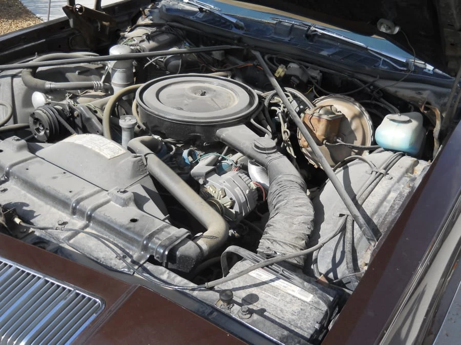 1977 Oldsmobile Cutlass Supreme - Image 8 of 8