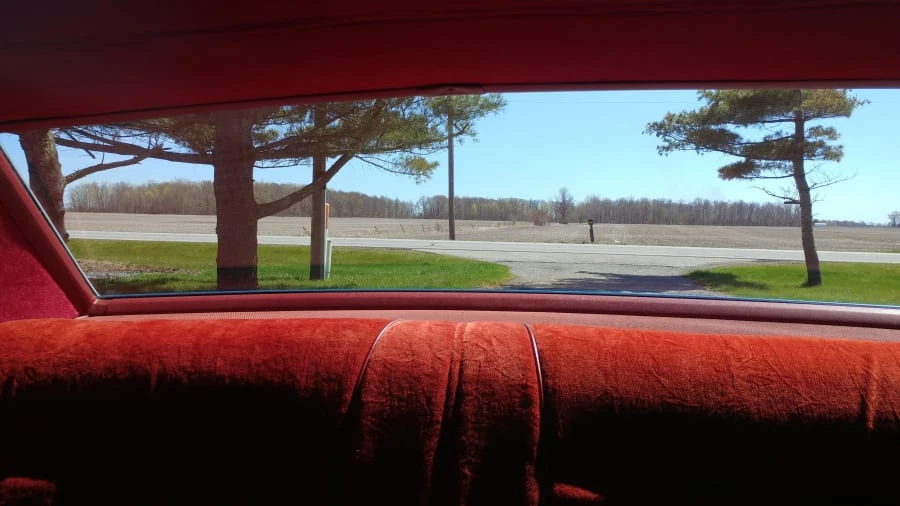 1977 Oldsmobile 88 - Image 8 of 12