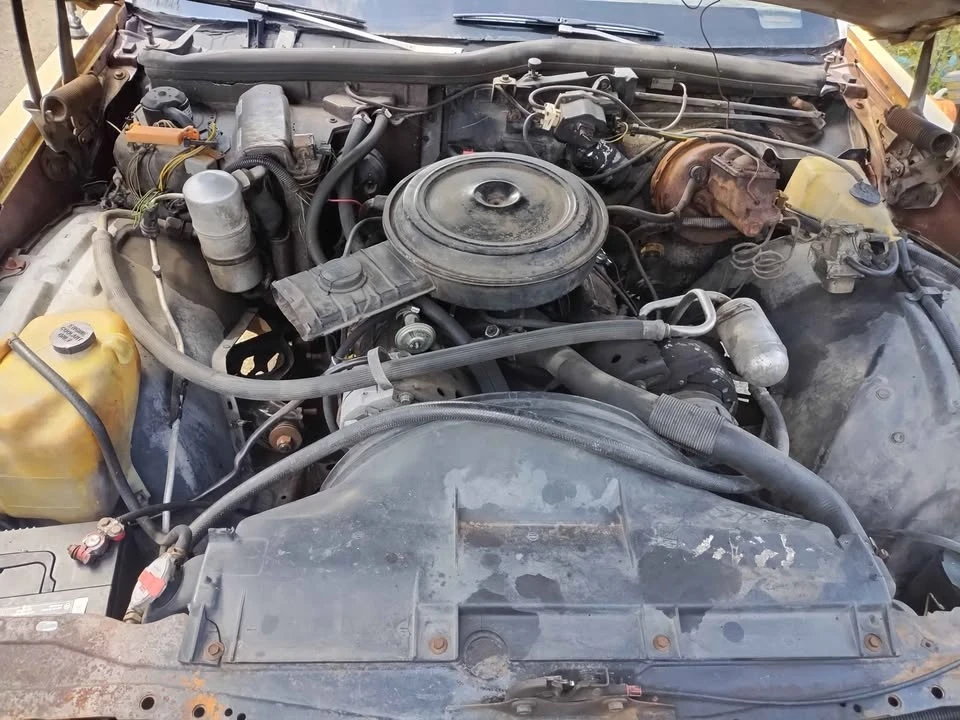 1977 Oldsmobile 88 - Image 11 of 18