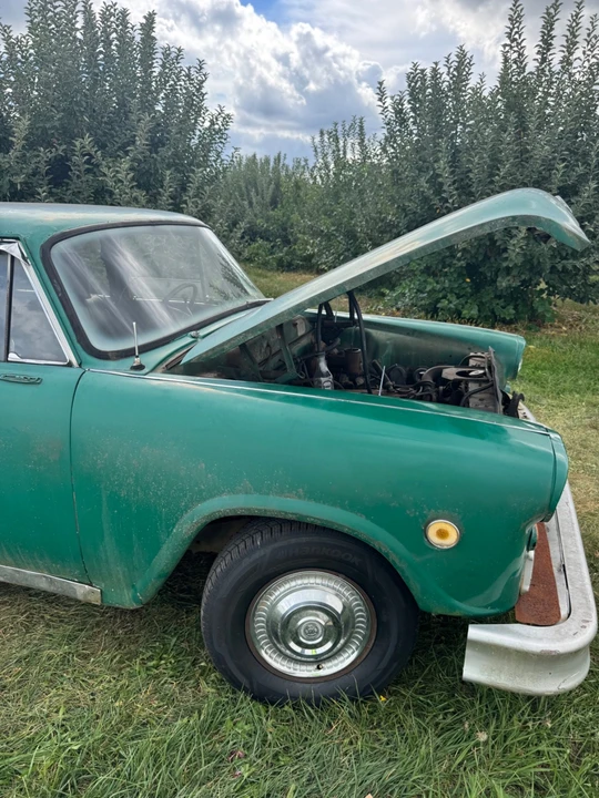 1977 Checker - Image 5 of 17