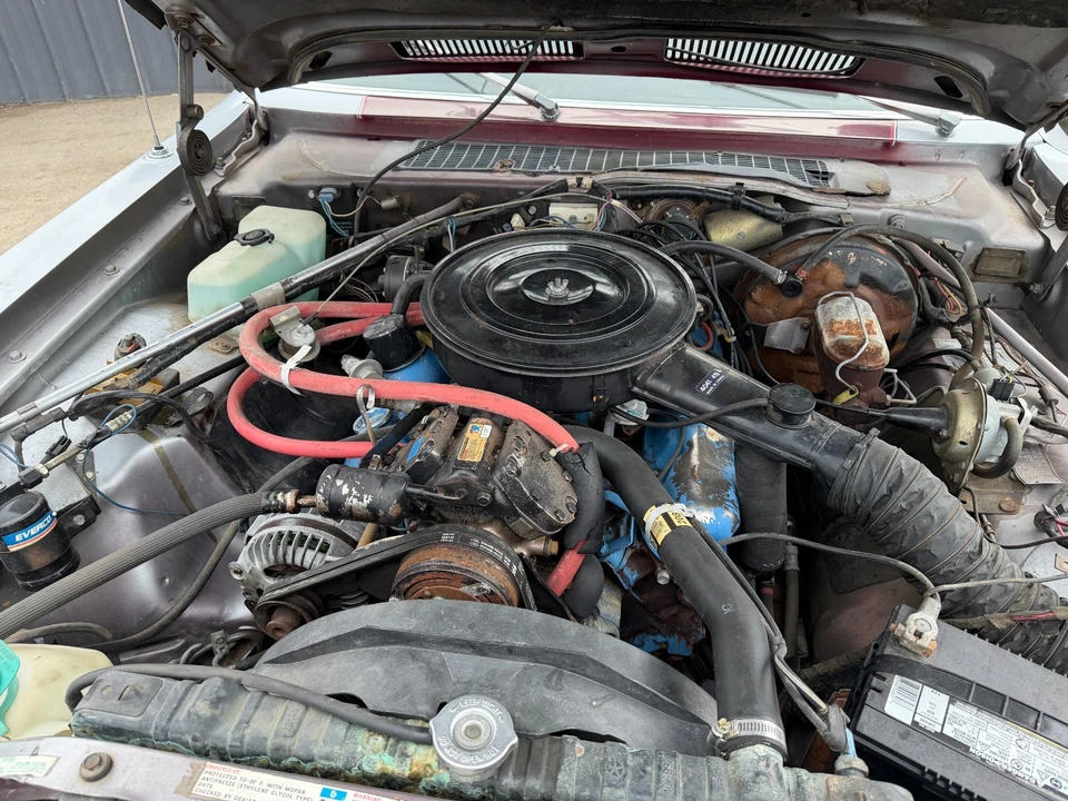1977 Plymouth Volare - Image 4 of 10