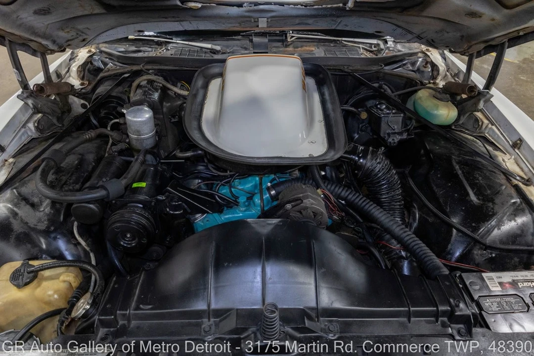 1977 Pontiac Firebird - Image 19 of 31