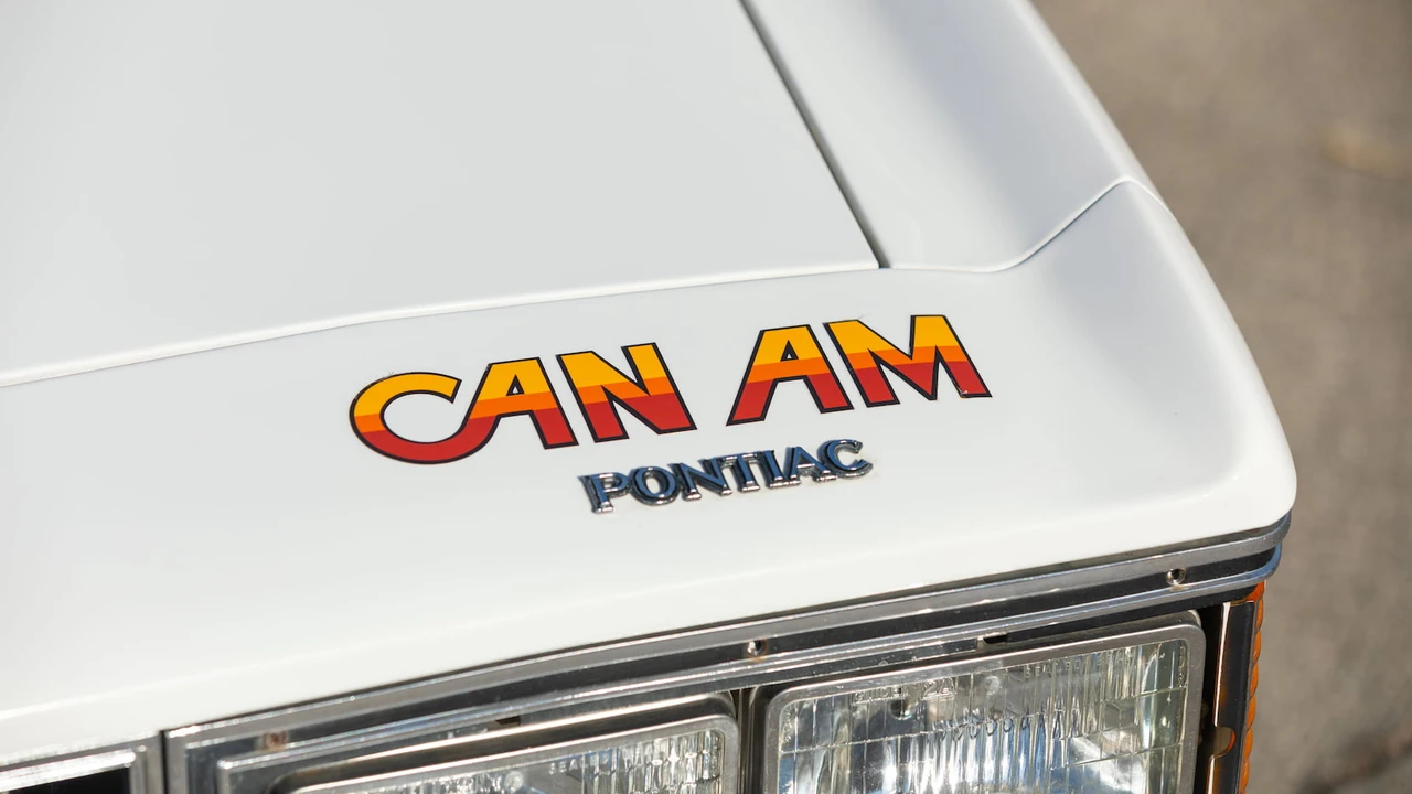 1977 Pontiac LeMans 4th+ Gen - Image 21 of 31