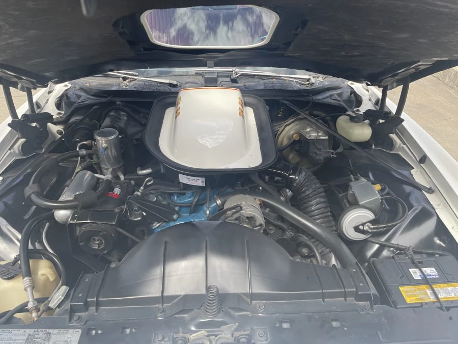 1977 Pontiac LeMans 4th+ Gen - Image 11 of 21