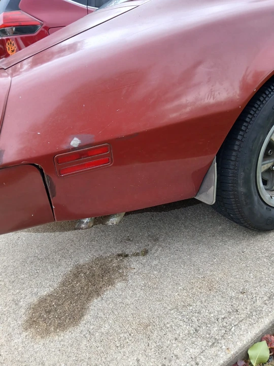 1977 Pontiac Firebird 2nd Gen - Image 12 of 21