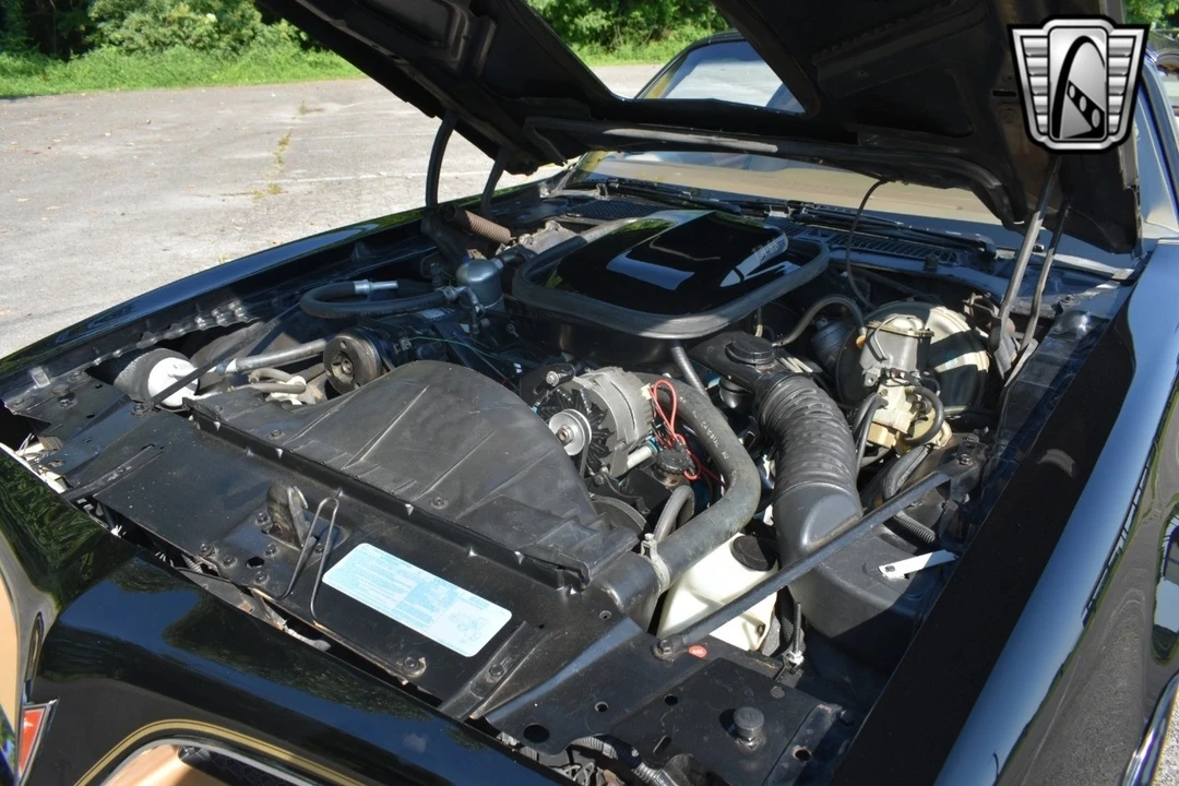 1977 Pontiac Firebird 2nd Gen - Image 13 of 21