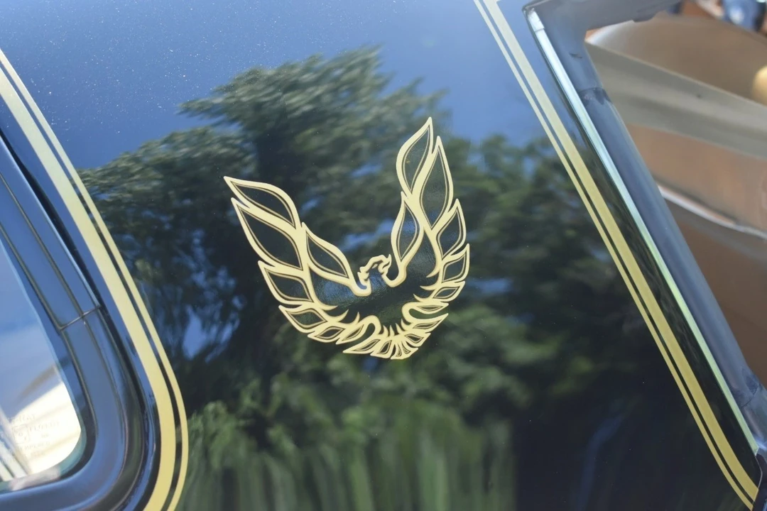 1977 Pontiac Firebird 2nd Gen - Image 19 of 21