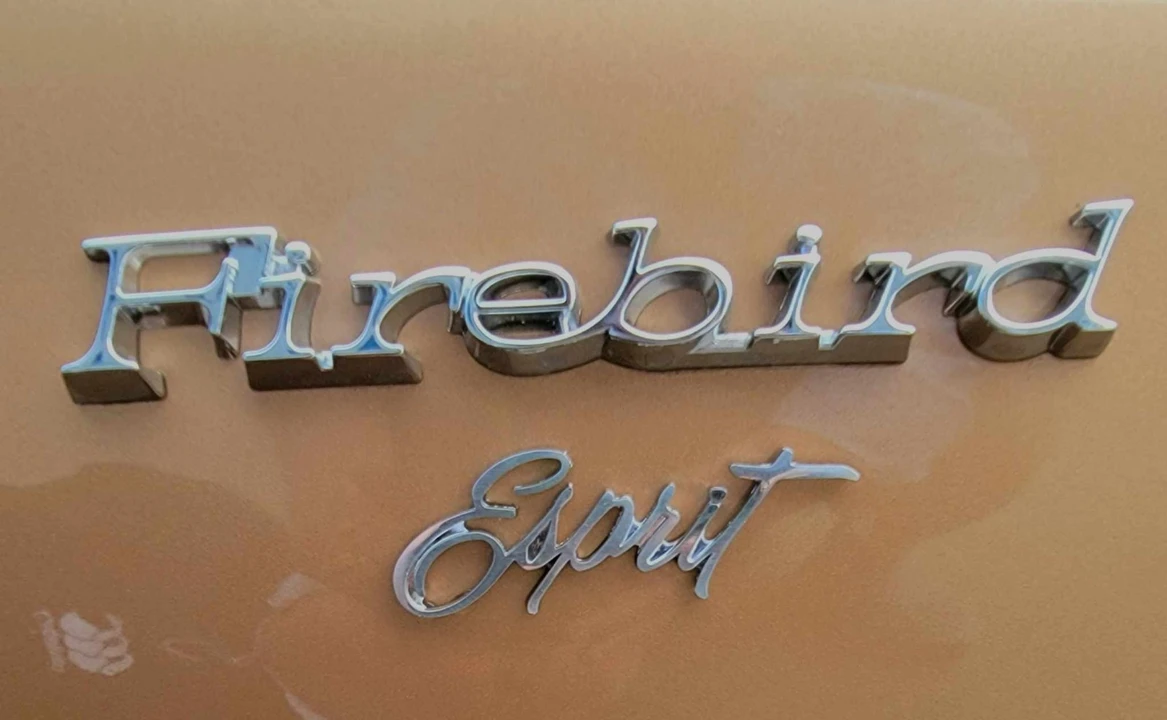 1977 Pontiac Firebird 2nd Gen - Image 15 of 21