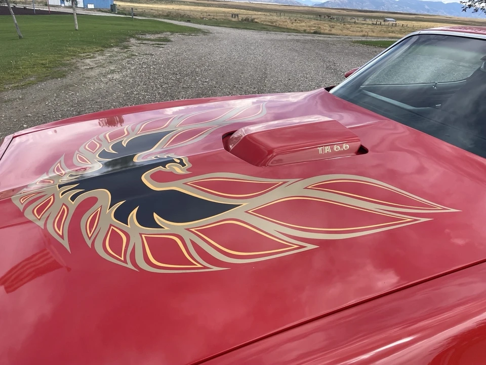 1977 Pontiac Firebird 2nd Gen - Image 20 of 21