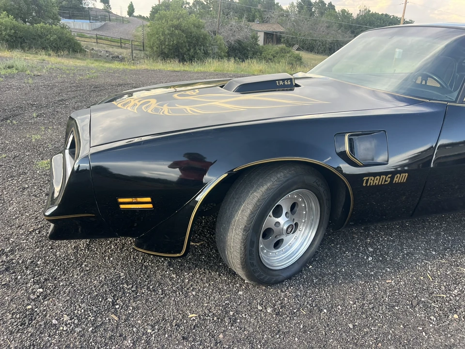 1977 Pontiac Firebird 2nd Gen - Image 15 of 31