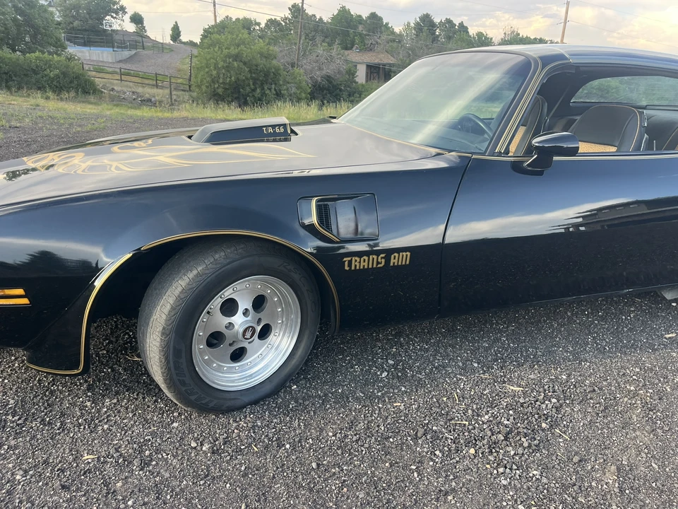 1977 Pontiac Firebird 2nd Gen - Image 16 of 31