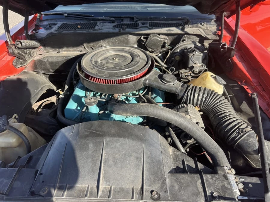 1977 Pontiac Firebird 2nd Gen - Image 5 of 5