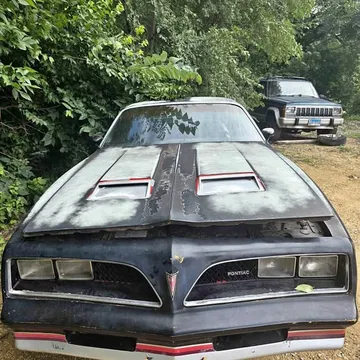 1977 Pontiac Firebird Formula Coupe 2D