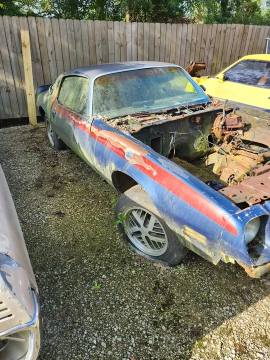 1977 Pontiac Firebird 2nd Gen - Image 11 of 14
