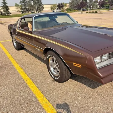 1977 Pontiac Firebird Esprit