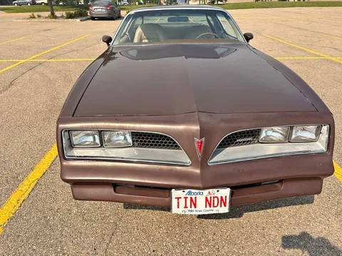1977 Pontiac Firebird Esprit