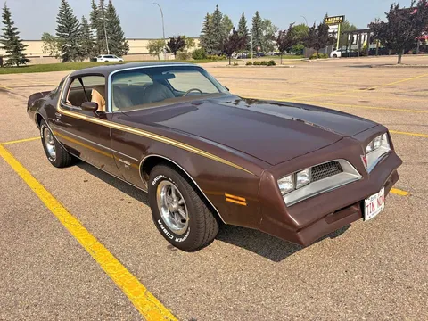 1977 Pontiac Firebird Esprit