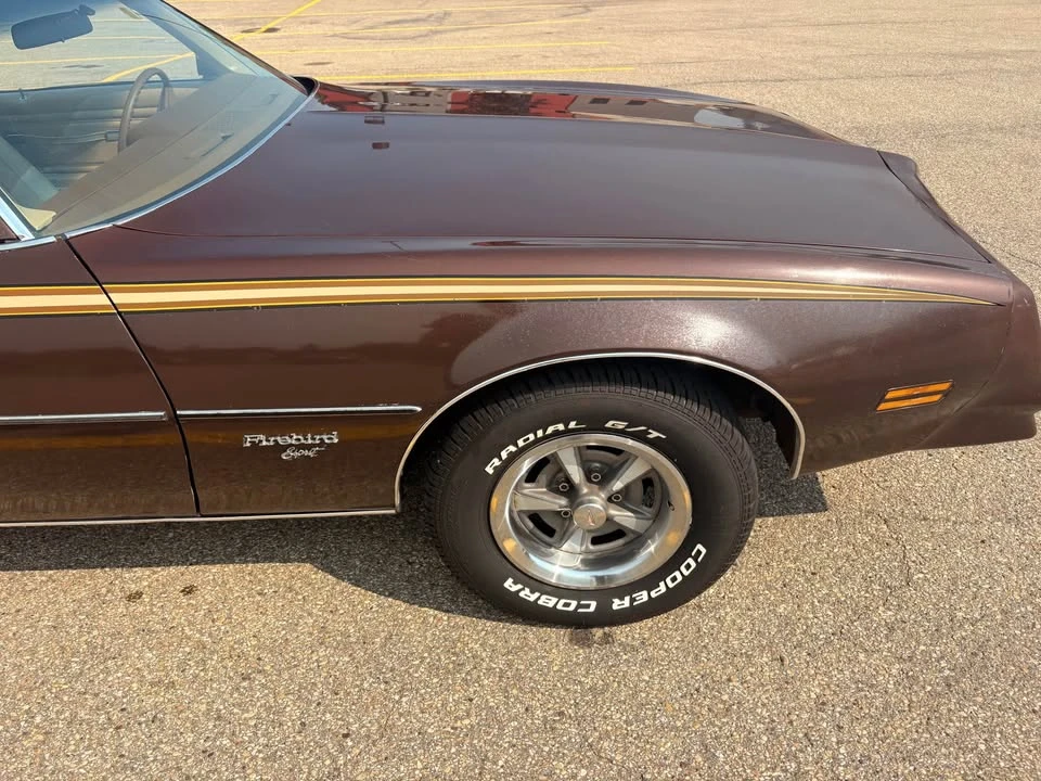 1977 Pontiac Firebird 2nd Gen - Image 2 of 18